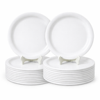 Ariya Melamine Dinner Plates 11 Inch Set of 24 | White