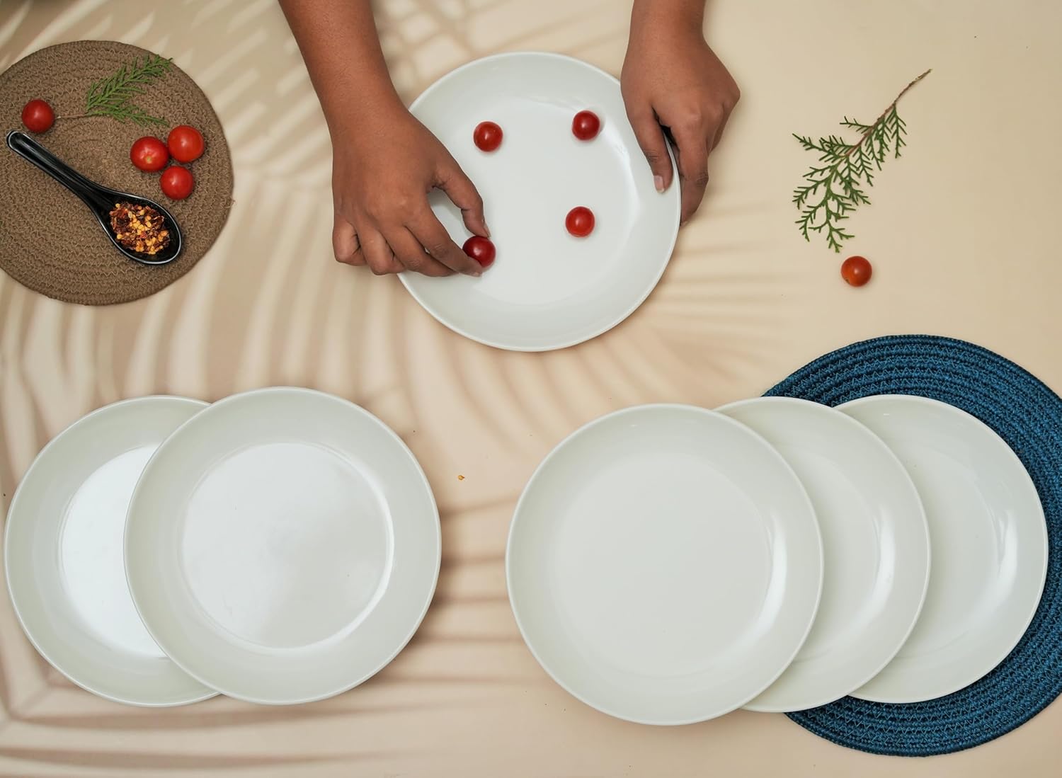 Ariya 10.5" Melamine Dinner Plates Set of 24 – Milky Mist