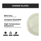 Ariya Melamine 11"Inch Dinner Plate | Gold-Cream | Pack of 4