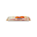 Ariya Melamine Tray Set of 2 Easy Clean Multicolor