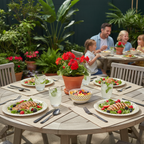 Ariya Melamine 11"Inch Dinner Plate | White-Blue Border | Pack of 6